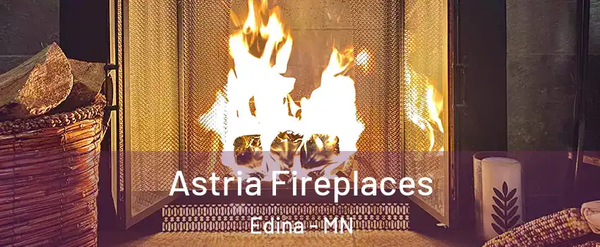  Astria Fireplaces Edina - MN