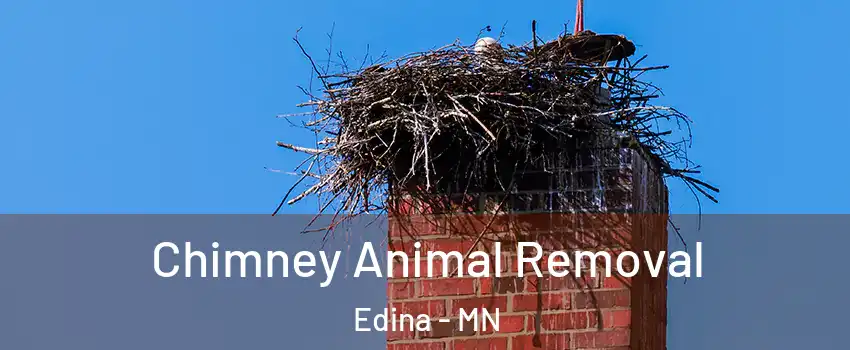 Chimney Animal Removal Edina - MN