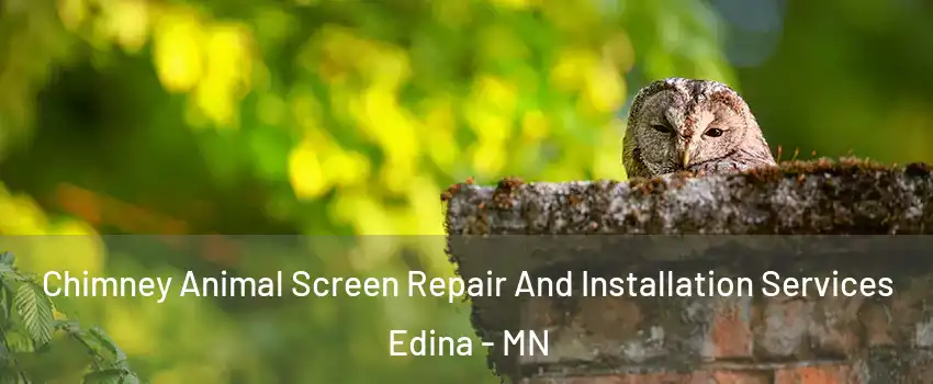  Chimney Animal Screen Repair And Installation Services Edina - MN