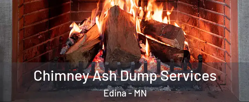  Chimney Ash Dump Services Edina - MN