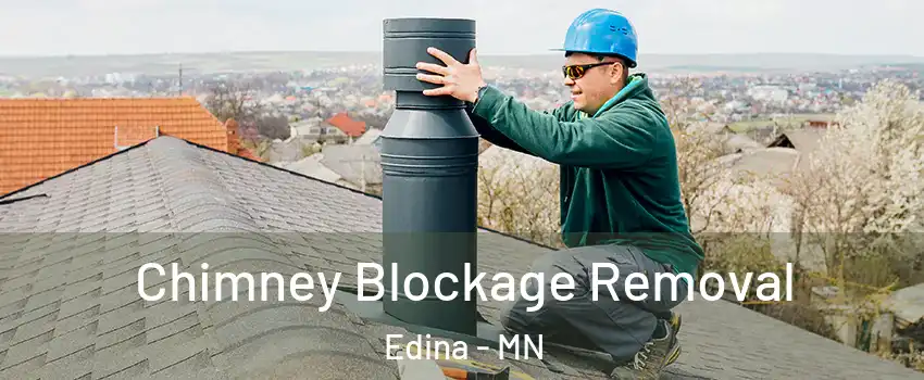  Chimney Blockage Removal Edina - MN