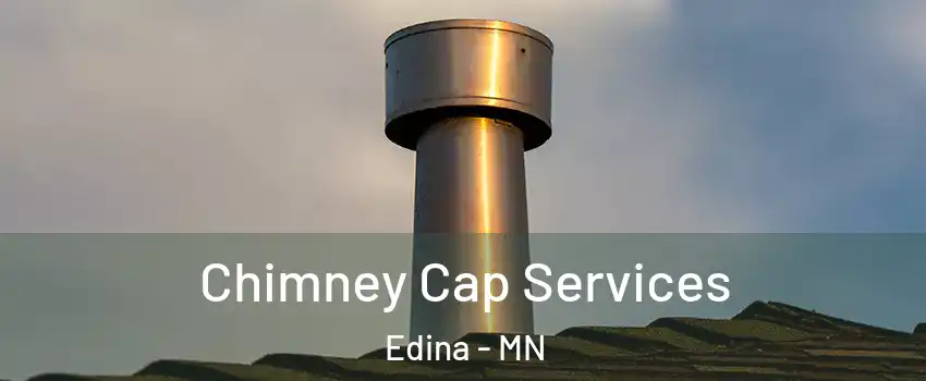  Chimney Cap Services Edina - MN