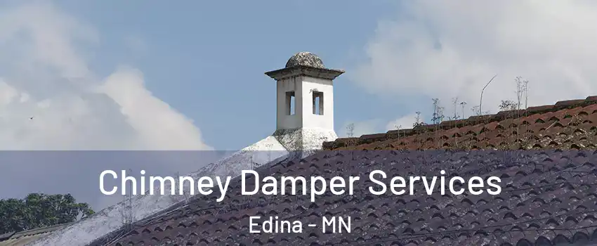  Chimney Damper Services Edina - MN
