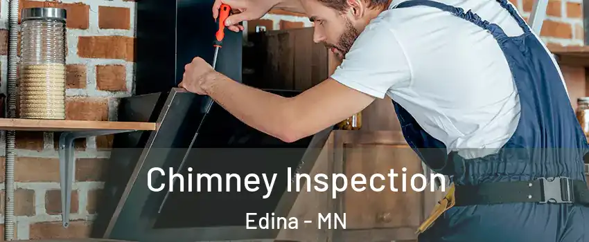  Chimney Inspection Edina - MN