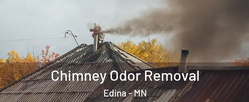  Chimney Odor Removal Edina - MN