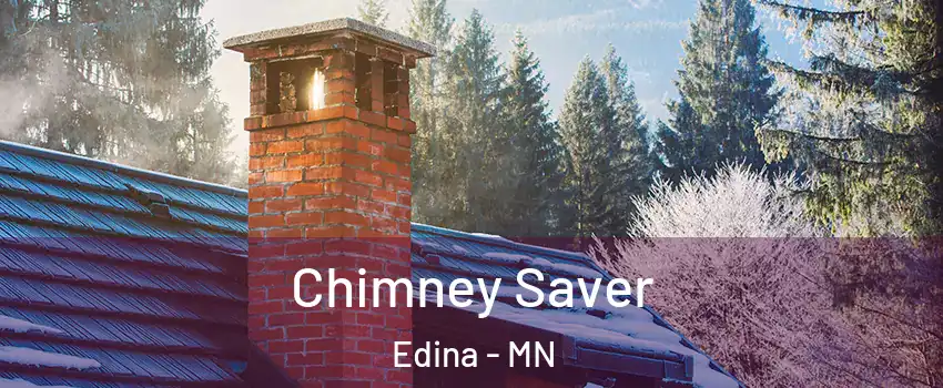  Chimney Saver Edina - MN