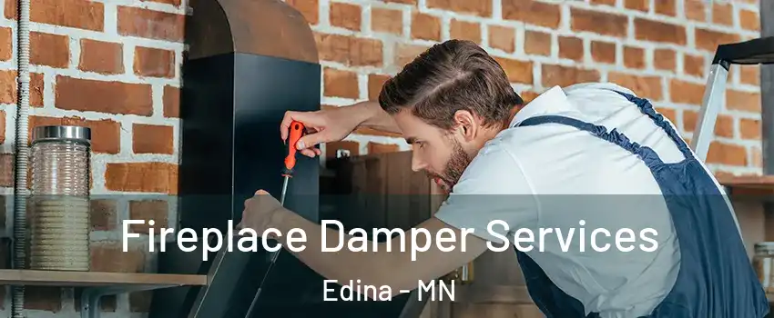  Fireplace Damper Services Edina - MN