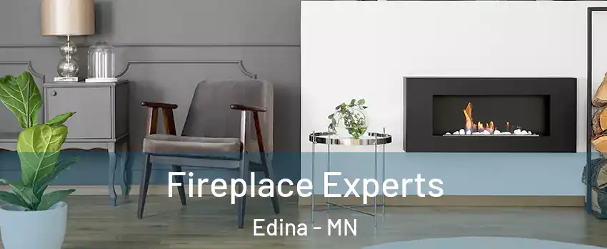  Fireplace Experts Edina - MN