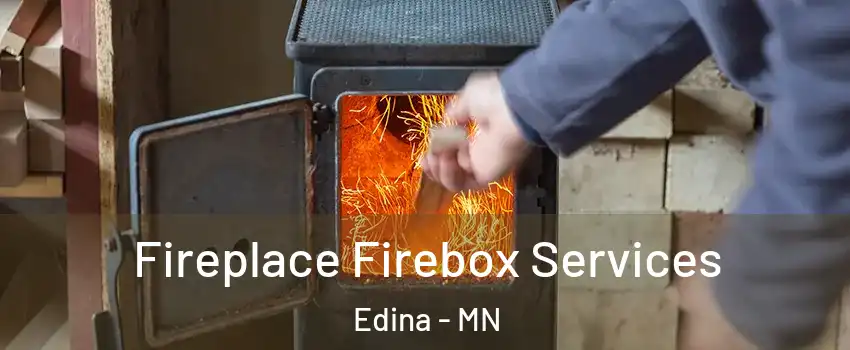  Fireplace Firebox Services Edina - MN