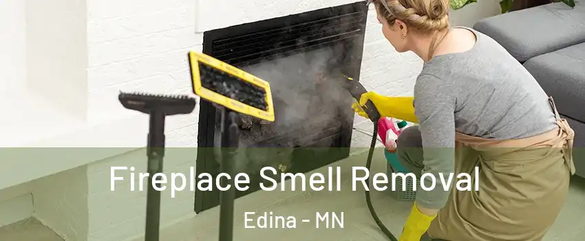  Fireplace Smell Removal Edina - MN