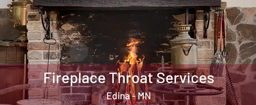  Fireplace Throat Services Edina - MN