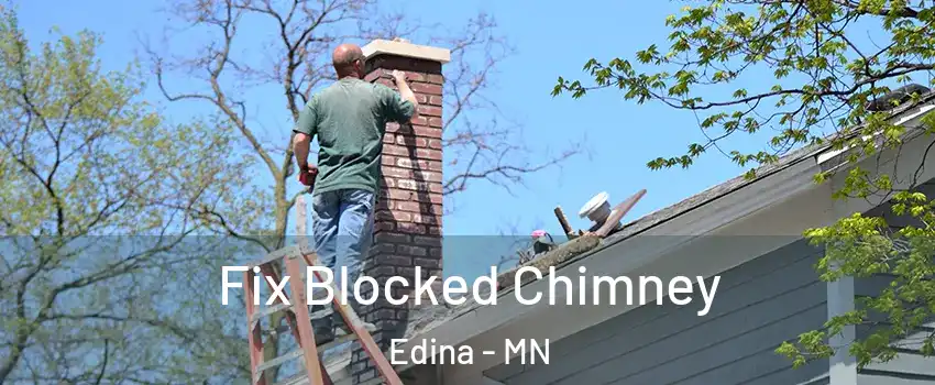  Fix Blocked Chimney Edina - MN
