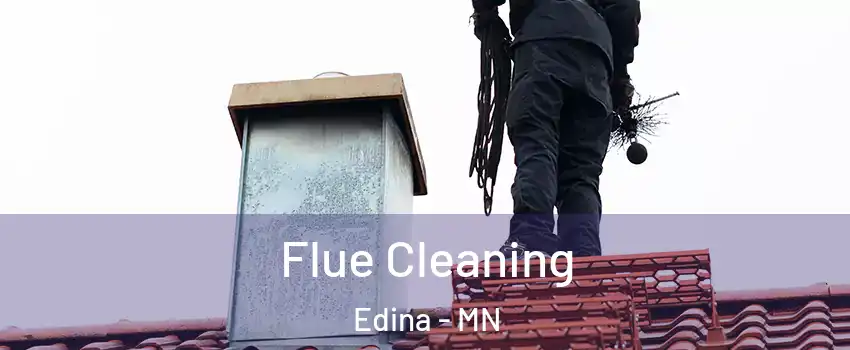  Flue Cleaning Edina - MN