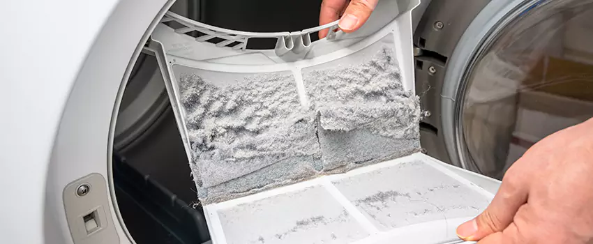 Best Dryer Lint Removal Company in Edina, Minnesota