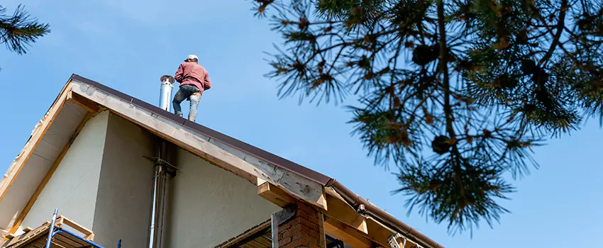 Birds Removal Contractors from Chimney in Edina, MN