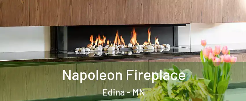  Napoleon Fireplace Edina - MN