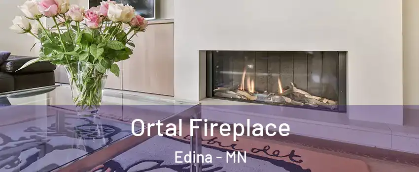  Ortal Fireplace Edina - MN