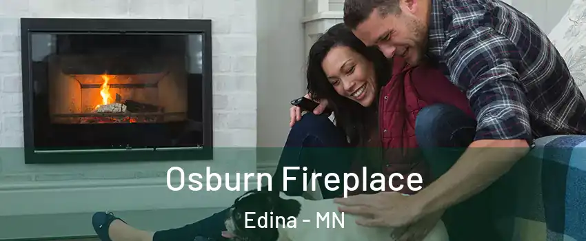  Osburn Fireplace Edina - MN