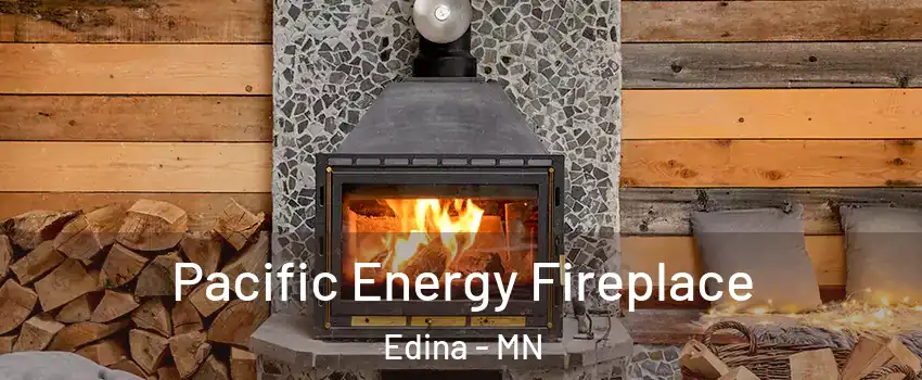  Pacific Energy Fireplace Edina - MN
