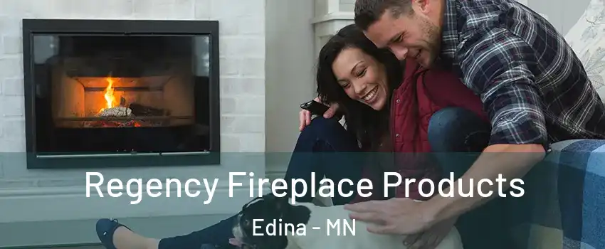  Regency Fireplace Products Edina - MN